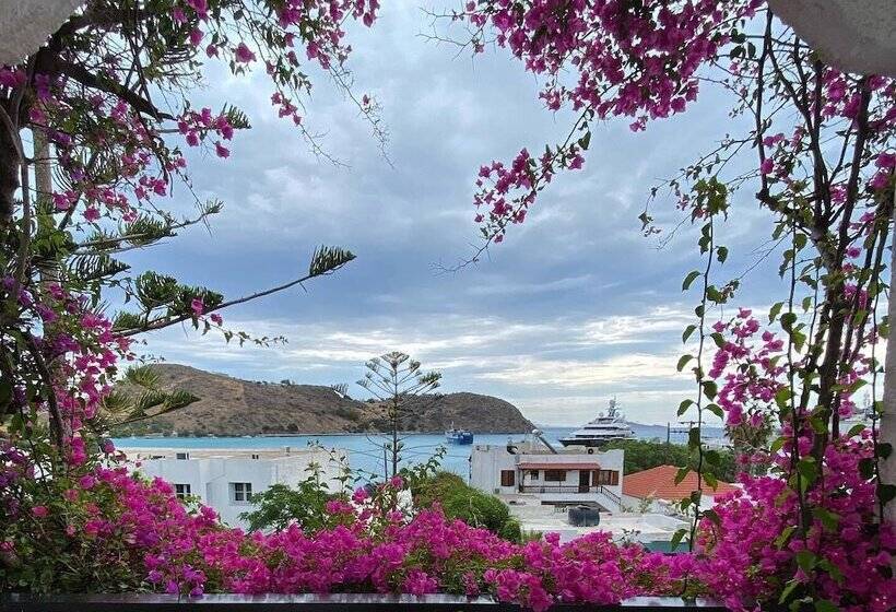 스탠다드 룸, Skala