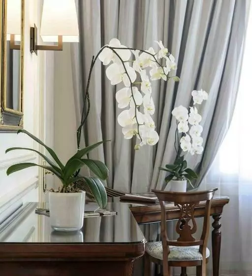 Suite Junior, Albergo Terminus