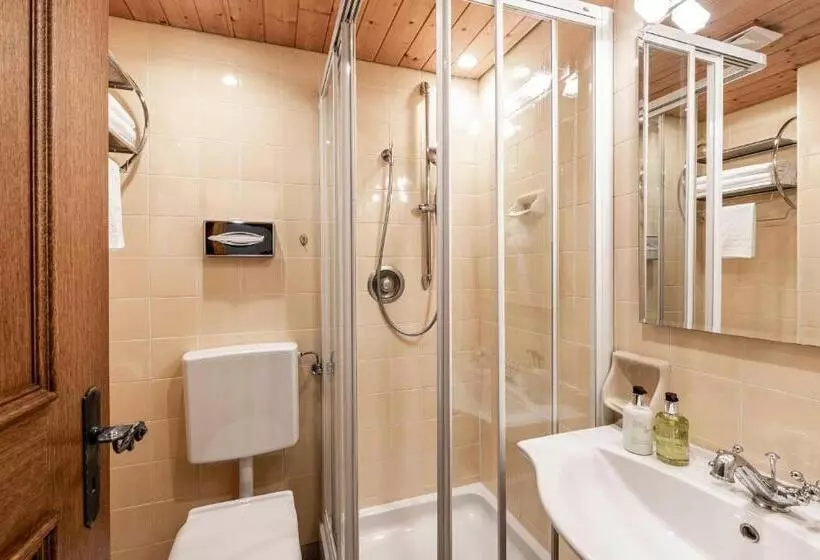 Standard Yhden Hengen Huone, Cavallino D'oro Bed&breakfast