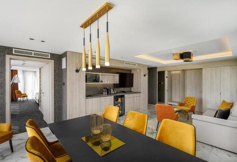 חדר אקזקיוטיב, Mercure Tokaj Center