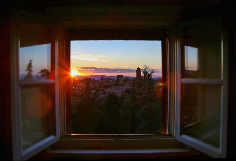 豪华房间, Vannucci