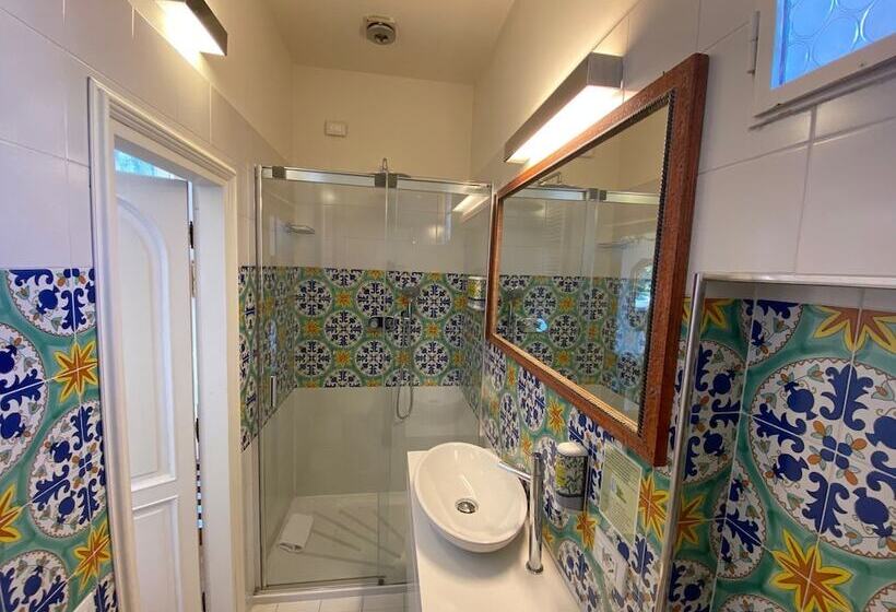 Camera Standard, David