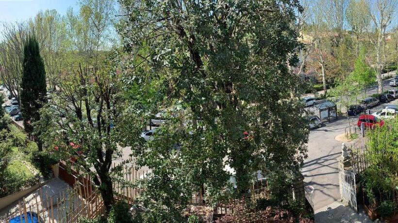 Camera Comfort, David