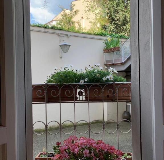 Camera Tripla Standard, David