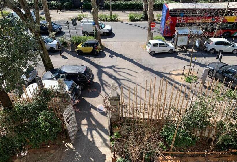 Camera Quadrupla Standard, David