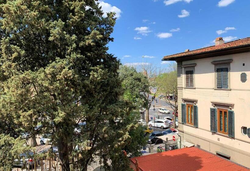 Camera Standard, David