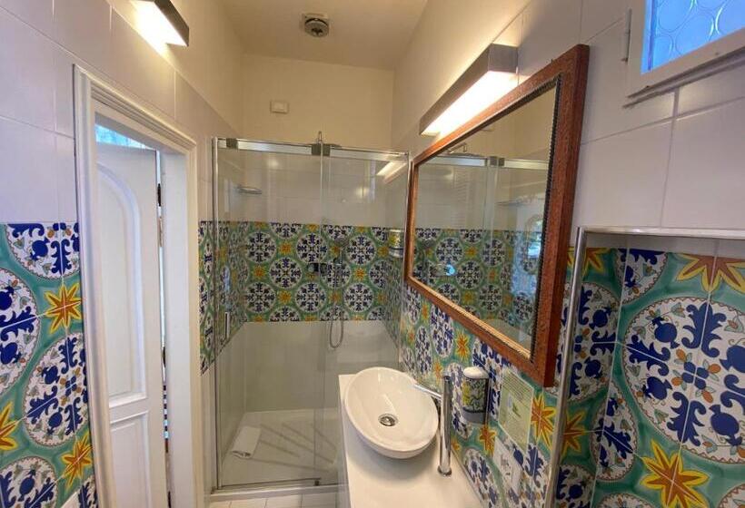 Camera Standard, David