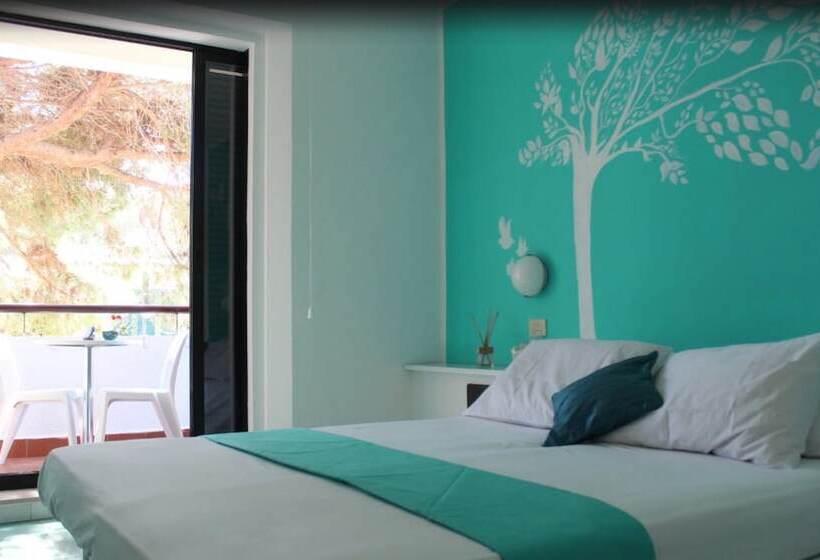 패밀리 룸, Punto Verde