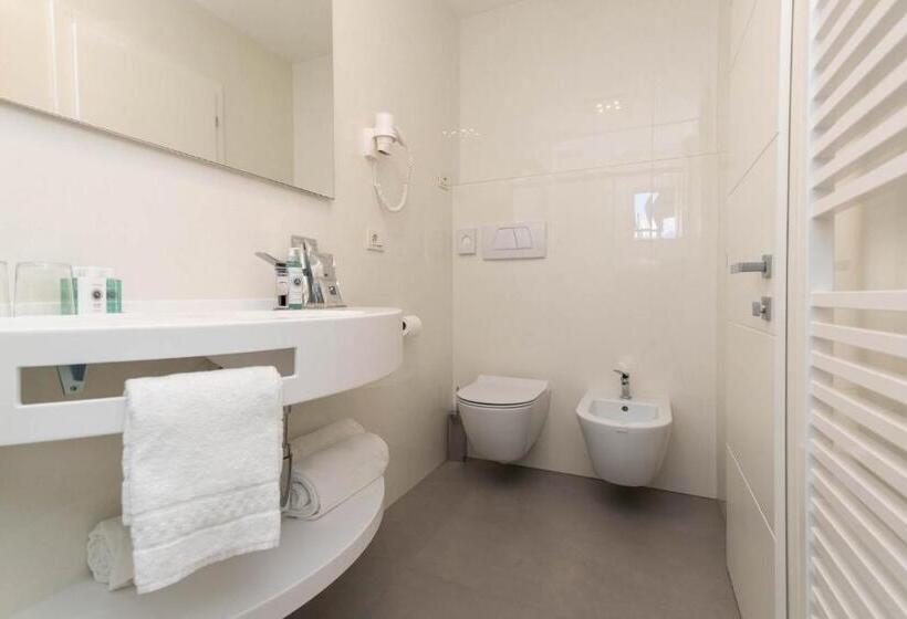 带观景的标准间, Vega