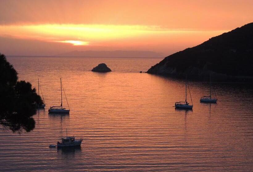 オーシャンビュークラシックルーム, Viticcio