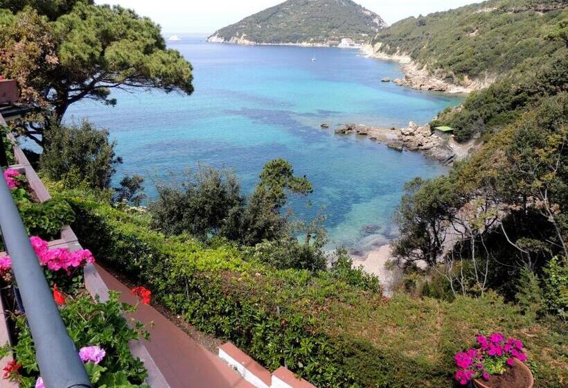 オーシャンビュークラシックルーム, Viticcio