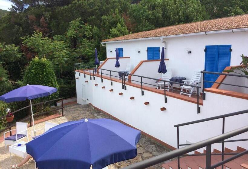 オーシャンビュークラシックルーム, Viticcio