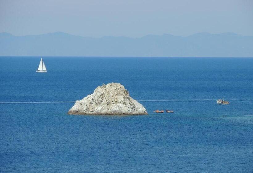 スタンダードルーム, Viticcio