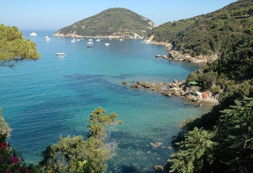 オーシャンビュースーペリアールーム, Viticcio