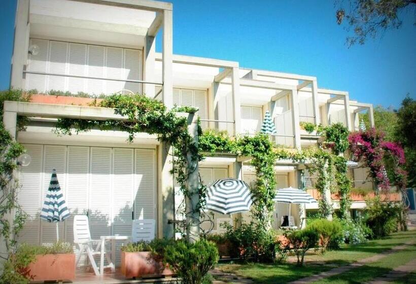 オーシャンビュースーペリアールーム, Viticcio