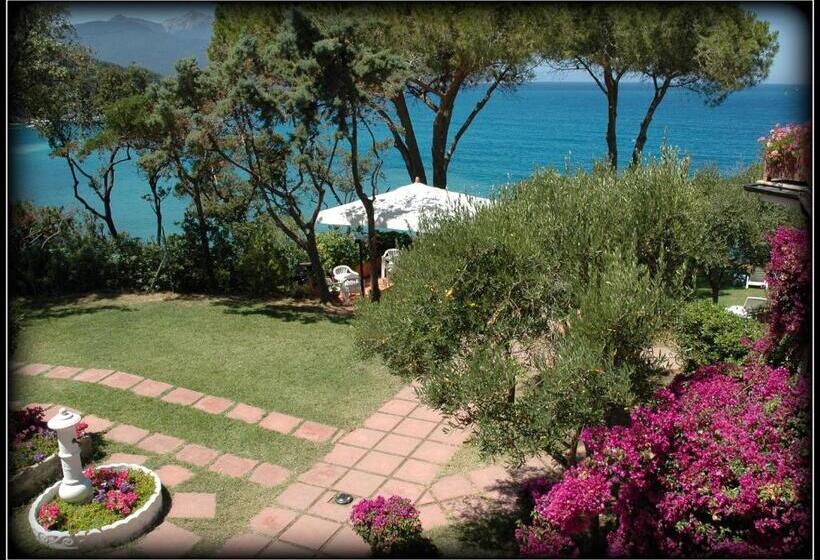 オーシャンビュークラシックルーム, Viticcio