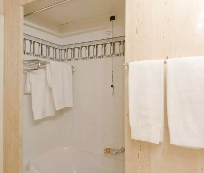 クラシックルーム, Grande Albergo Roma