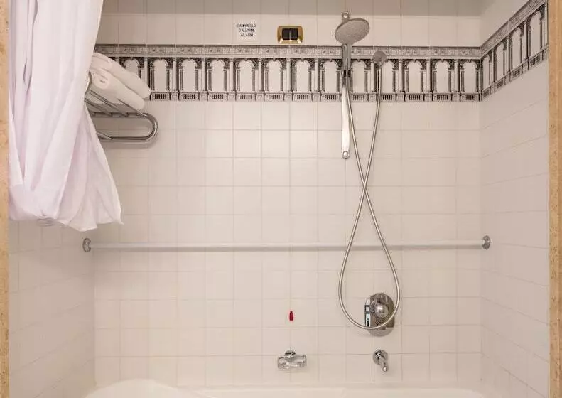 ファミリールーム, Grande Albergo Roma