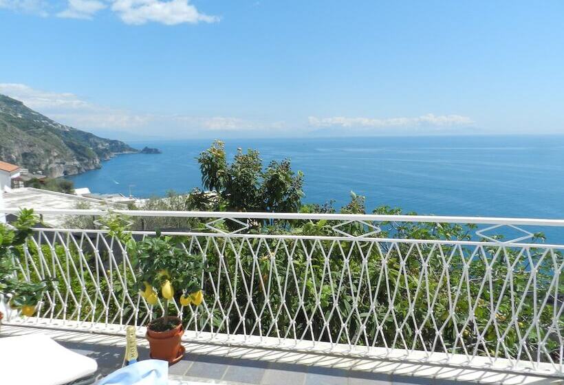 수피리어 룸 바다 전망, Holiday