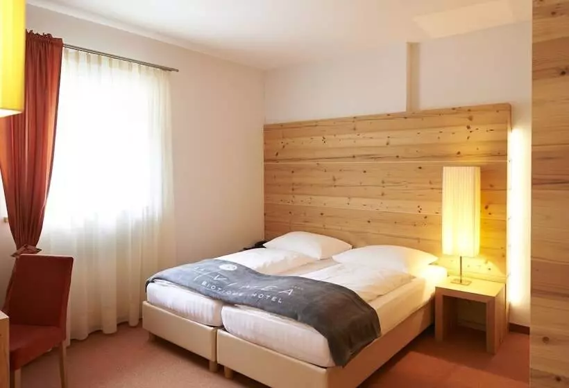Sviitti 2 Makuuhuonetta, Vegan Hotel La Vimea