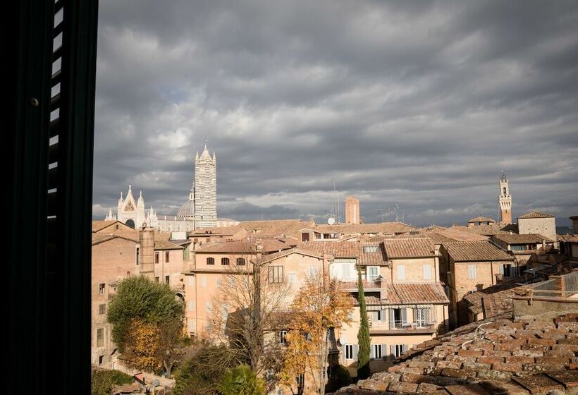 Camera Standard, Duomo