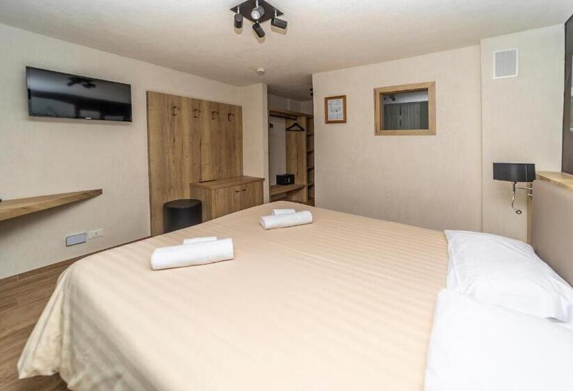 스탠다드 룸, Petit Palais