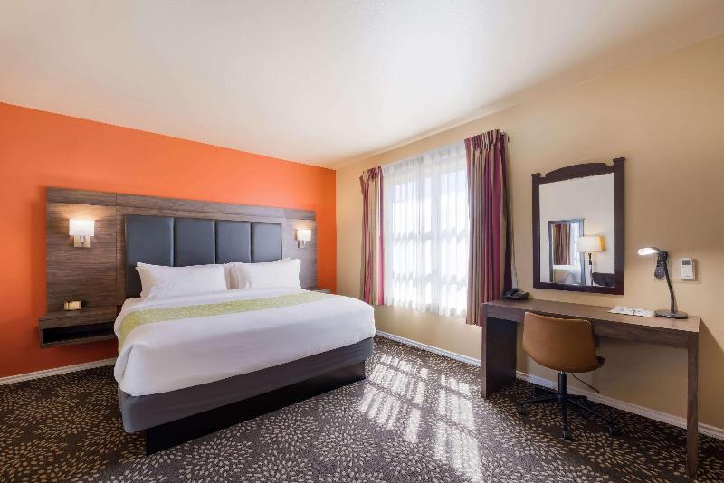 جناح, Principi Di Piemonte | Una Esperienze