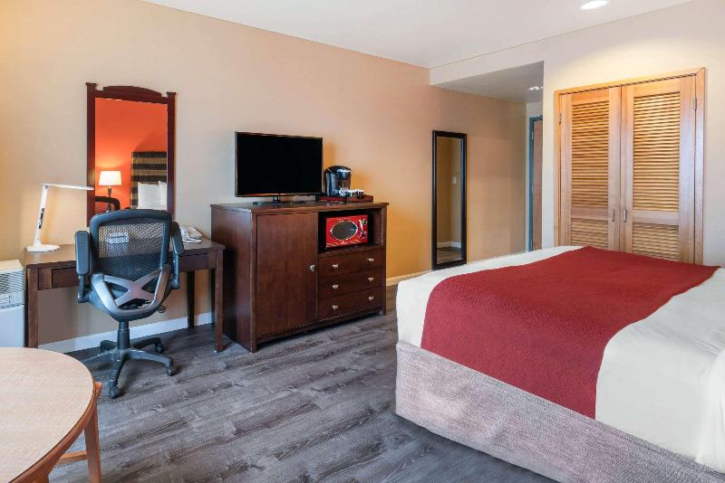 جناح, Principi Di Piemonte | Una Esperienze