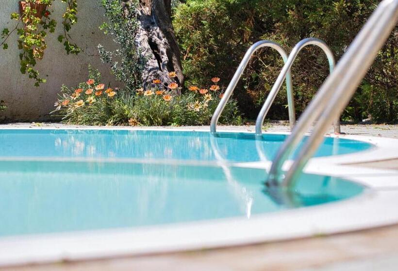 غرفة قياسية, Sporting