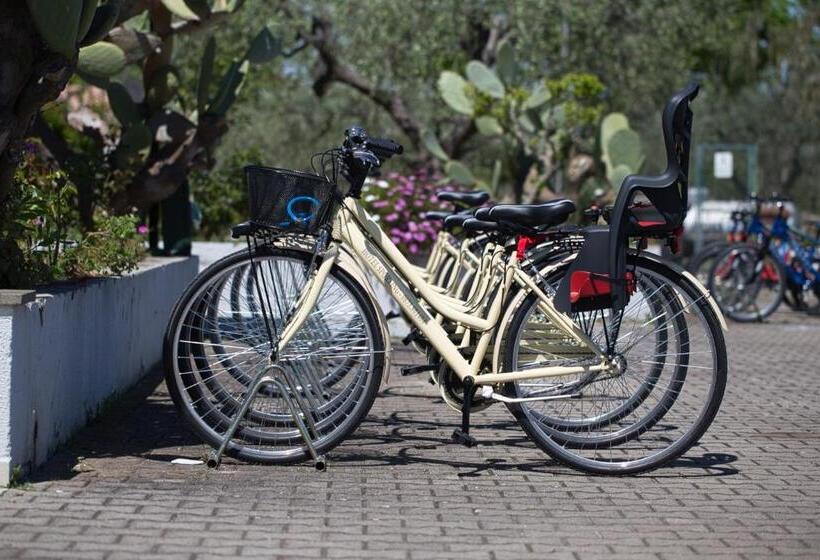 غرفة قياسية ثلاثية, Sporting