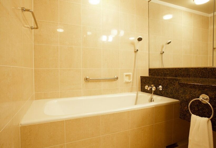 اتاق لوکس, Hida Takayama Onsen Hida Hotel Plaza