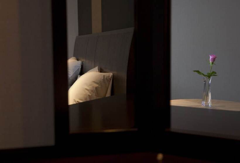 Номер Стандарт, Hida Takayama Onsen Hida Hotel Plaza