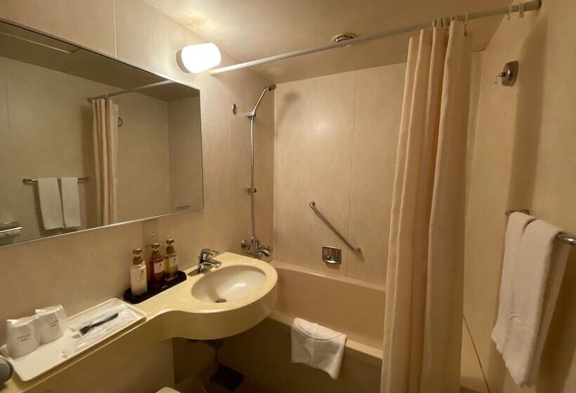 标准间, Koriyama View