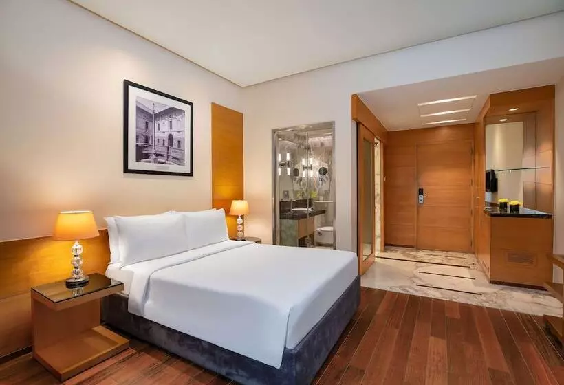 プレミアムルーム, Radisson Blu Marina Hotel Connaught Place