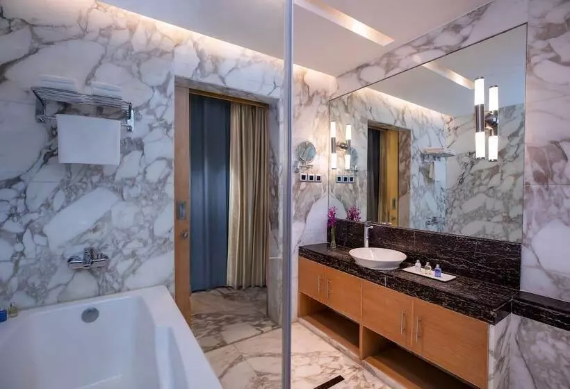スイート（家族用）, Radisson Blu Marina Hotel Connaught Place