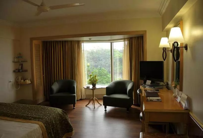 Executive-huone, Ramada Plaza By Wyndham Palm Grove