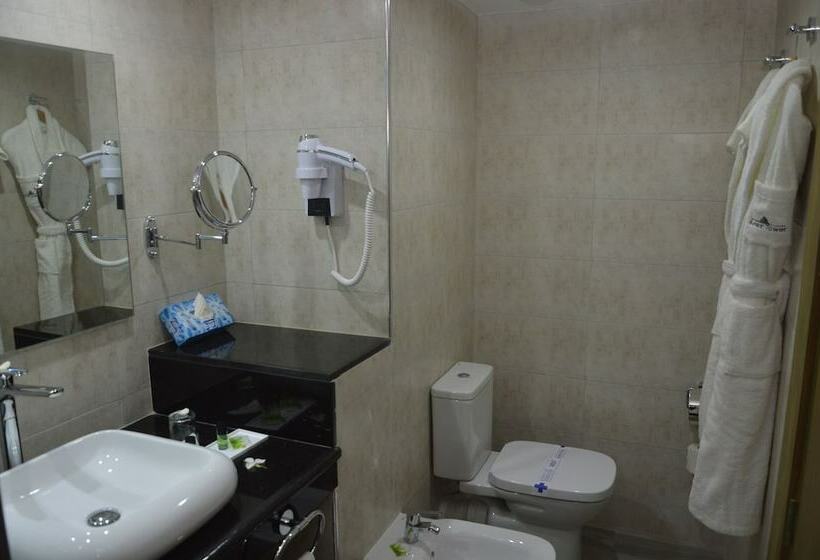 프리미엄 룸, Anezi Tower Hotel & Anezi Apartments