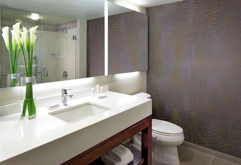 חדר פרמיום, Hilton Tokyo