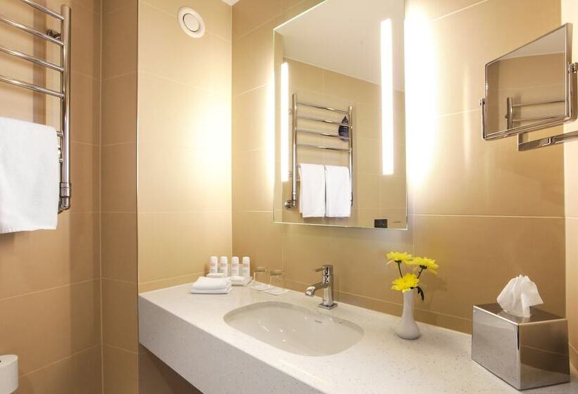 اتاق استاندارد, Radisson Blu Hotel & Spa, Daugava Riga