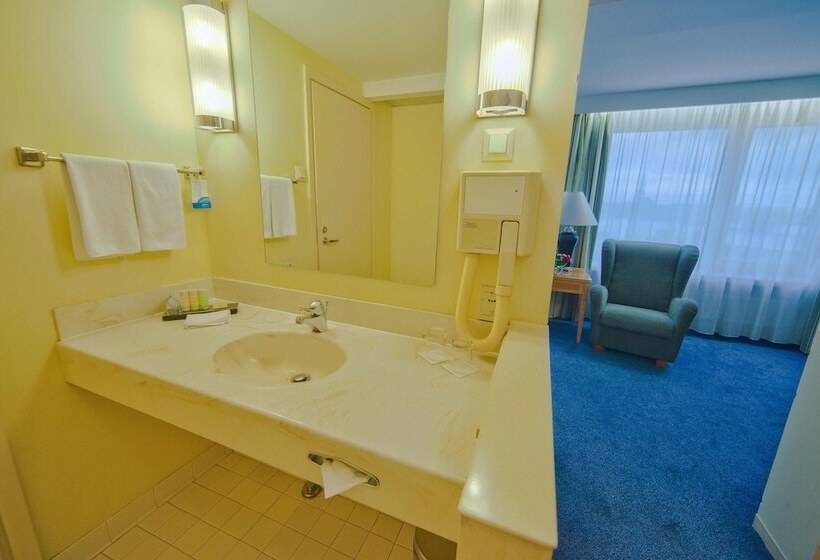 اتاق استاندارد, Radisson Blu Hotel & Spa, Daugava Riga