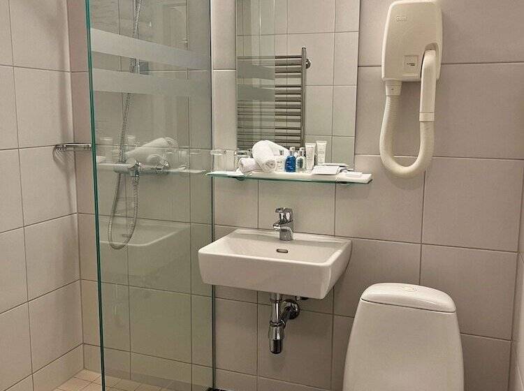 اتاق استاندارد, Radisson Blu Hotel & Spa, Daugava Riga