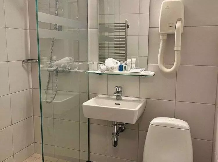 اتاق استاندارد, Radisson Blu Hotel & Spa, Daugava Riga
