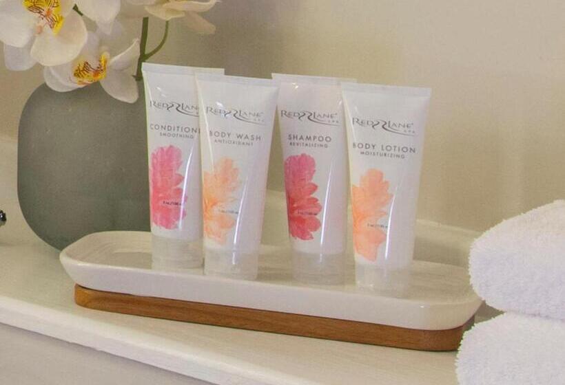 جناح جونيور ديلوكس, Sandals Montego Bay   All Inclusive Couples Only