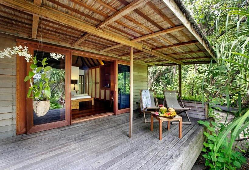 ویلای 1 خوابه, Gangehi Island Resort & Spa