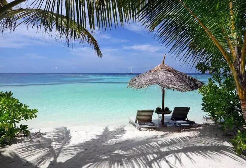 ویلای 1 خوابه با چشم‌انداز دریا, Gangehi Island Resort & Spa
