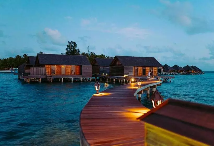 ویلای لوکس 1 خوابه, Gangehi Island Resort & Spa