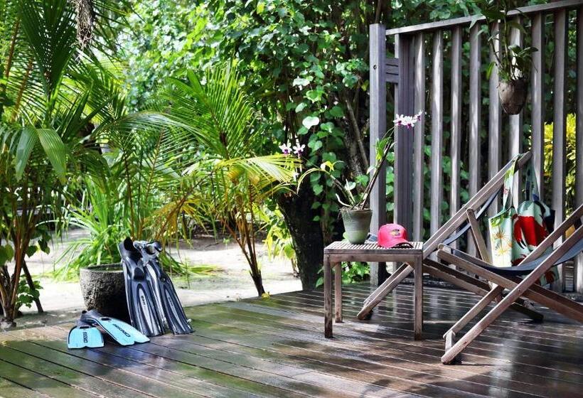 اتاق کلاب, Gangehi Island Resort & Spa