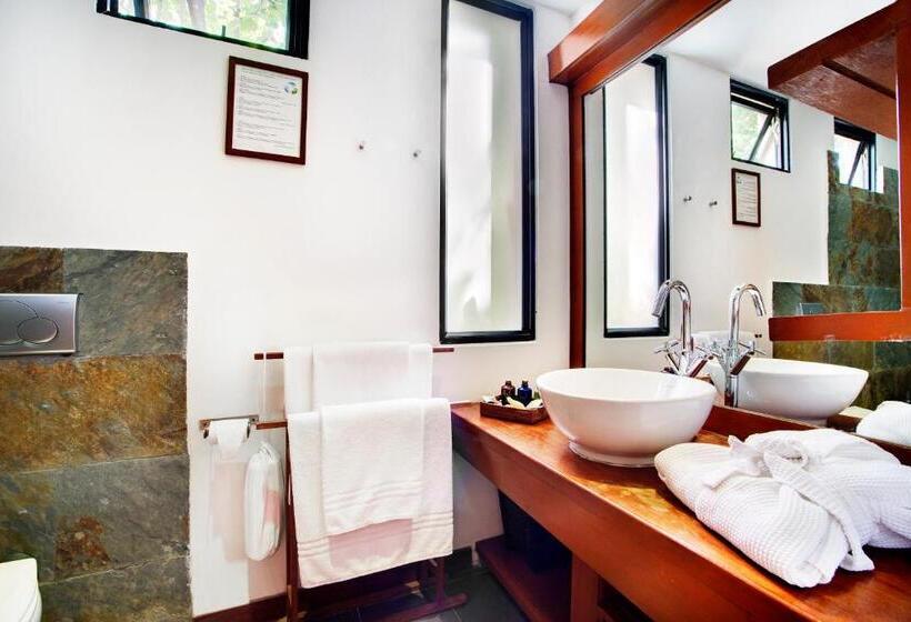 اتاق کلاب, Gangehi Island Resort & Spa