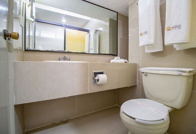 スタンダードトリプルルーム, Ambassador Mérida