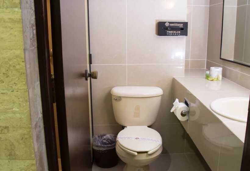 スタンダードトリプルルーム, Ambassador Mérida